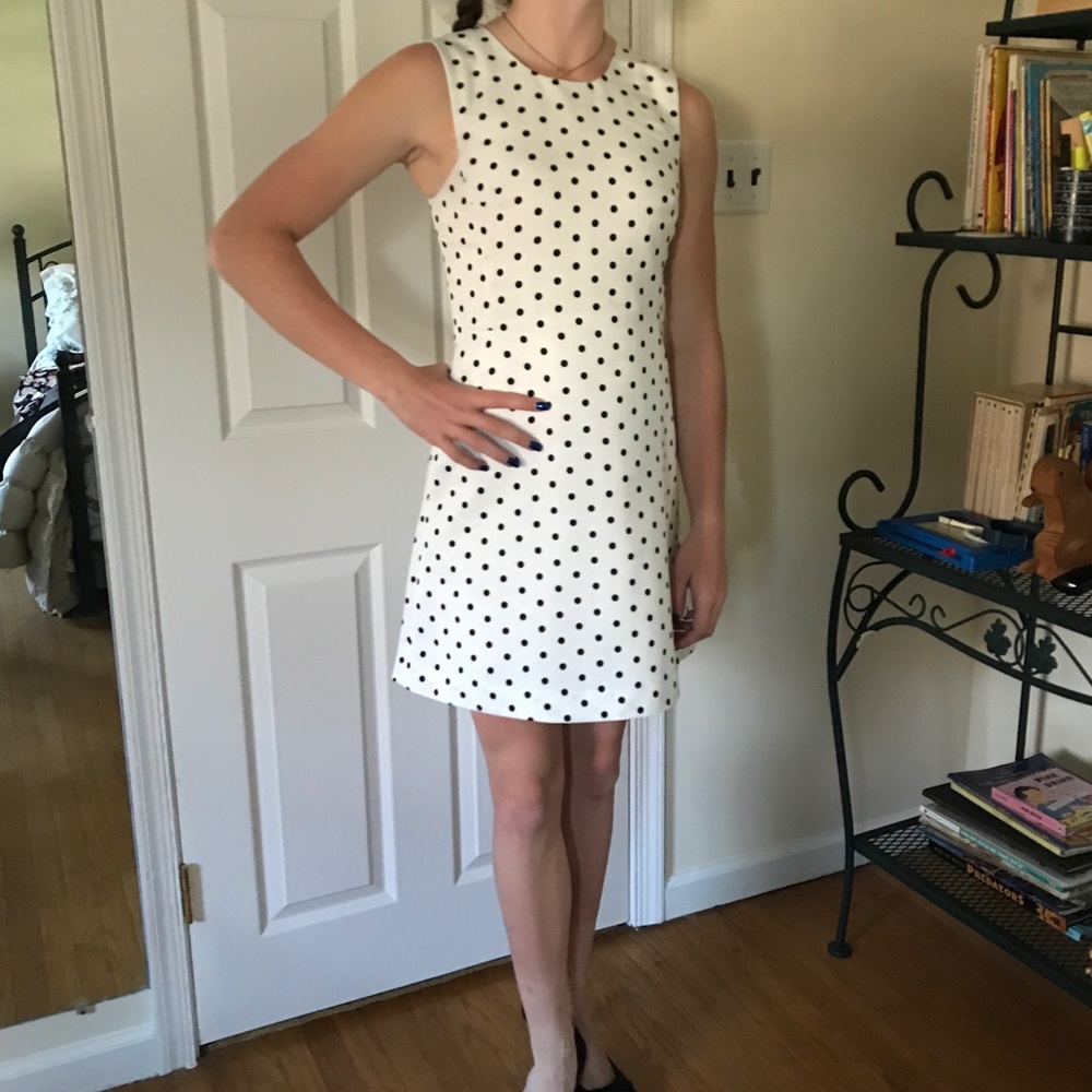 Express Polka Dot Dress